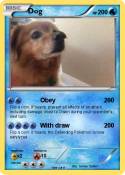 Dog