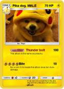 Pika dog. MALE