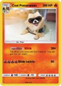 Cool Pomeranian