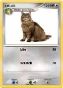 cat