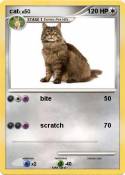 cat