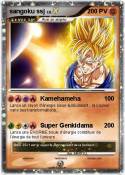 sangoku ssj