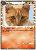cat fire.
