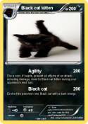 Black cat kitte