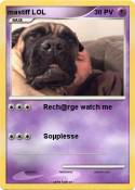 mastiff LOL