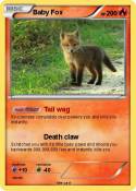 Baby Fox