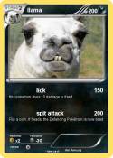 llama