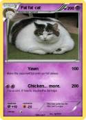 Fat fat cat