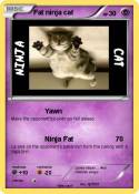 Fat ninja cat