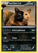 Two Face Cat