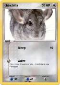 chinchilla
