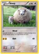 Sheep