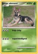 berger allemand