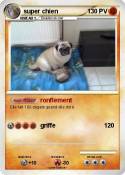 super chien