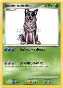 bouvier