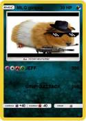 MLG ginipig