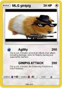 MLG ginipig