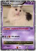 Kutecat