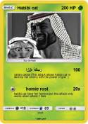 Habibi cat