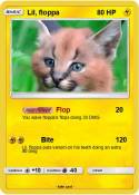 Lil, floppa