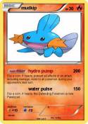mudkip