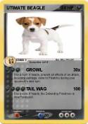 UTIMATE BEAGLE