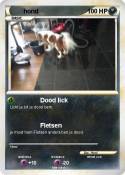 hond