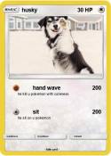 husky