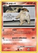 mirror pug