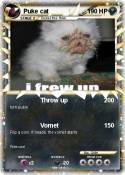 Puke cat