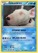 GYRADOS EX