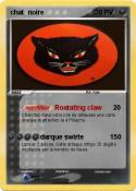 chat noire