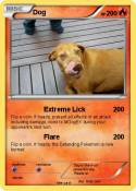 Dog