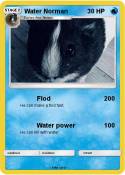 Water Norman