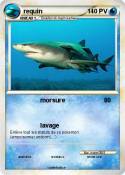 requin