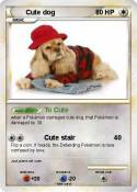 Cute dog