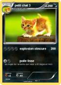 petit chat 3