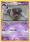 enfant chien