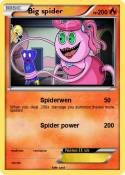 Big spider