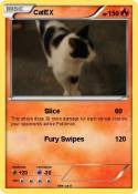 CatEX