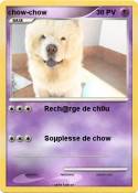 chow-chow