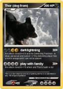Thor (dog from)