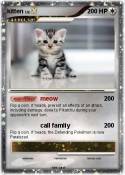 kitten