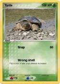 Turtle