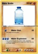 Water Bottle