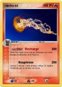 raichu ex