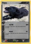 Puppy