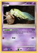 Cicadia