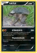 TURTLE