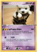 Puppy